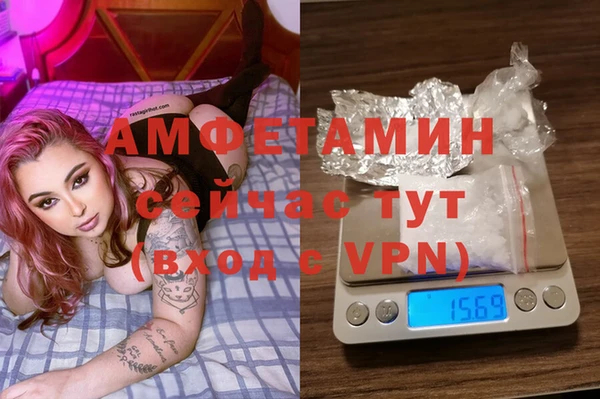 мет Алексин