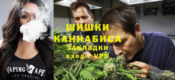 прущие грибы Алзамай