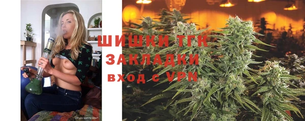 прущие грибы Алзамай