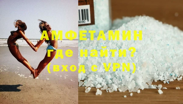 мет Алексин