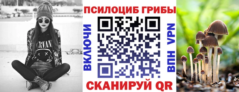 Псилоцибиновые грибы Psilocybe  Ачинск 
